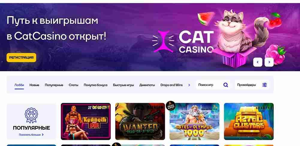 Актуальный бездепозитный бонус Cat casino